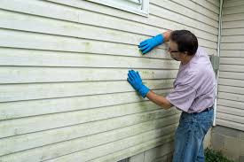 Best Wood Siding Installation  in Rio Vista, TX